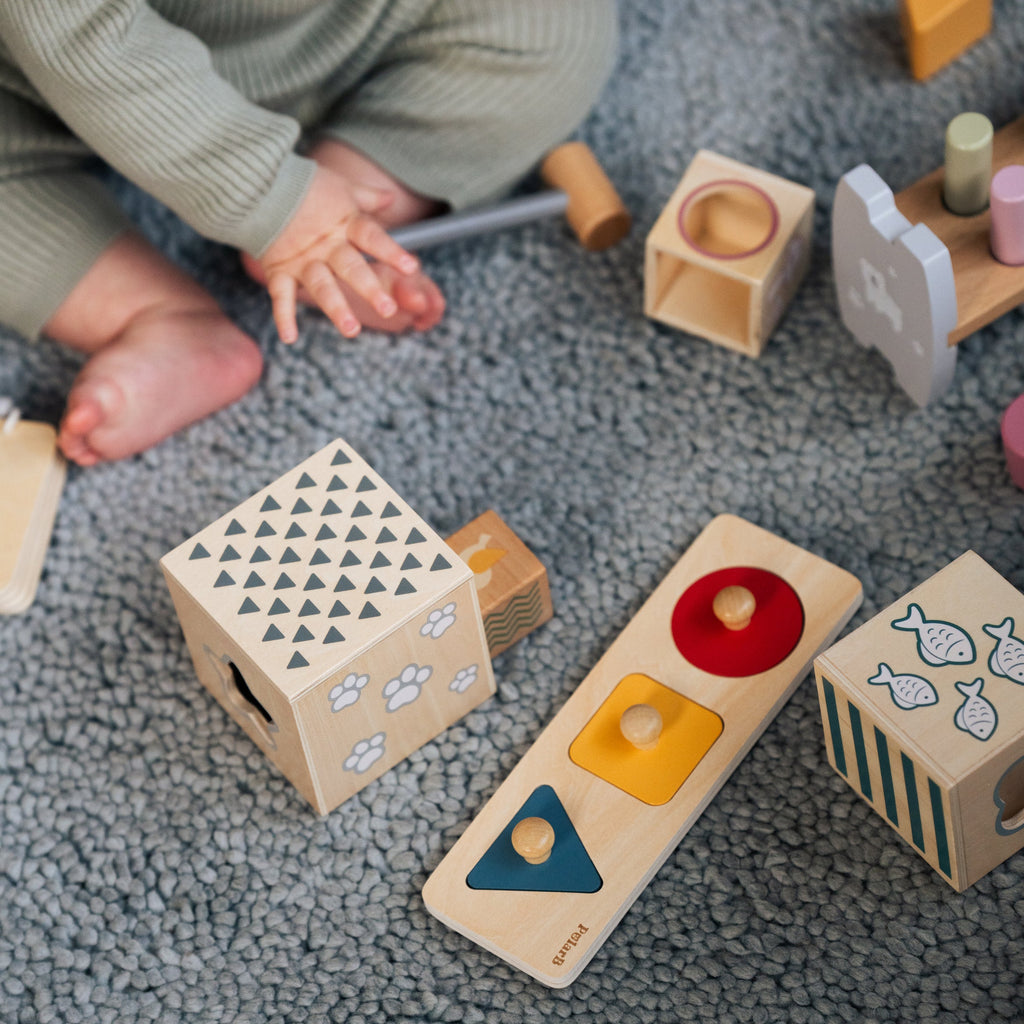 FSC sertifikuotas Montessori žaislų rinkinys mažyliams, 12–18 mėn.